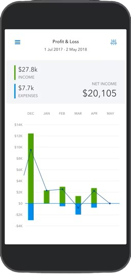 Profit and loss statement